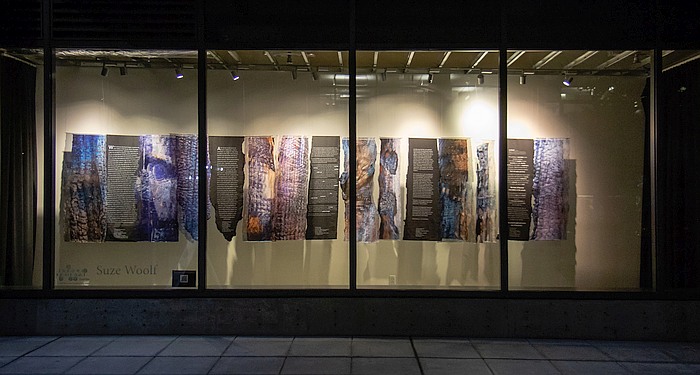 Photo of Suze Woolf installation