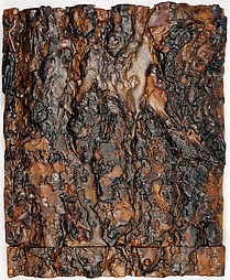 Photo of Suze Woolf artist book