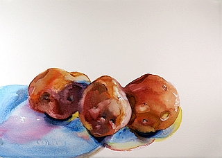 Suze Woolf vegetable painting