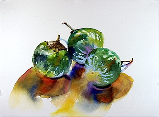 Suze Woolf vegetable painting