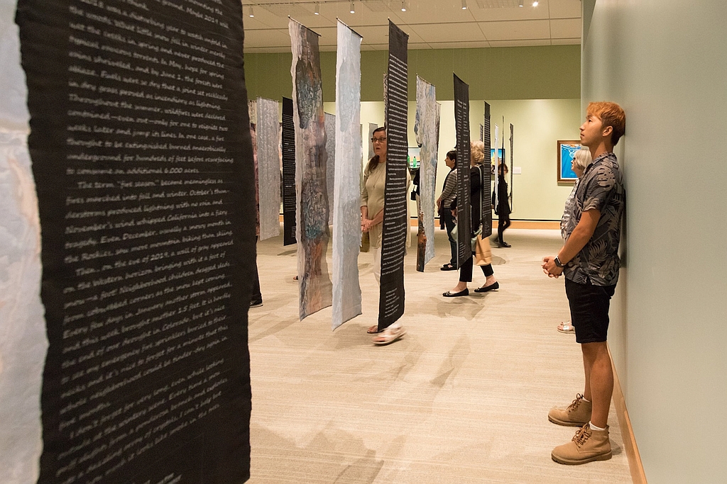 Photo of Suze Woolf installation