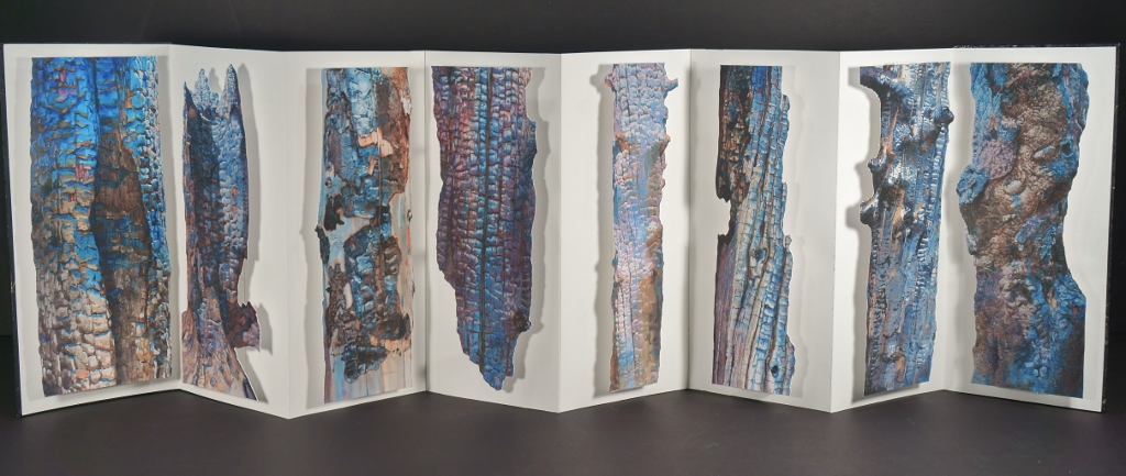 Pages of Suze Woolf artist book 
