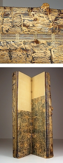 Photo of Suze Woolf artist book about bark beetles