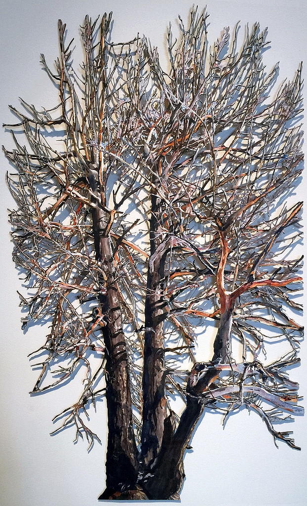 Photo of Suze Woolf painting of burned tree