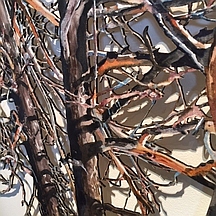 Photo of Suze Woolf painting of burned tree