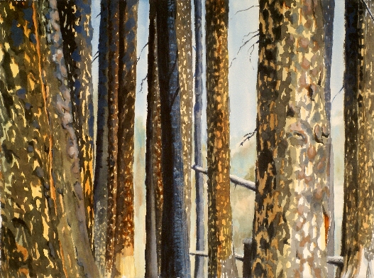 Remaining Bark is a Suze Woolf watercolor painting