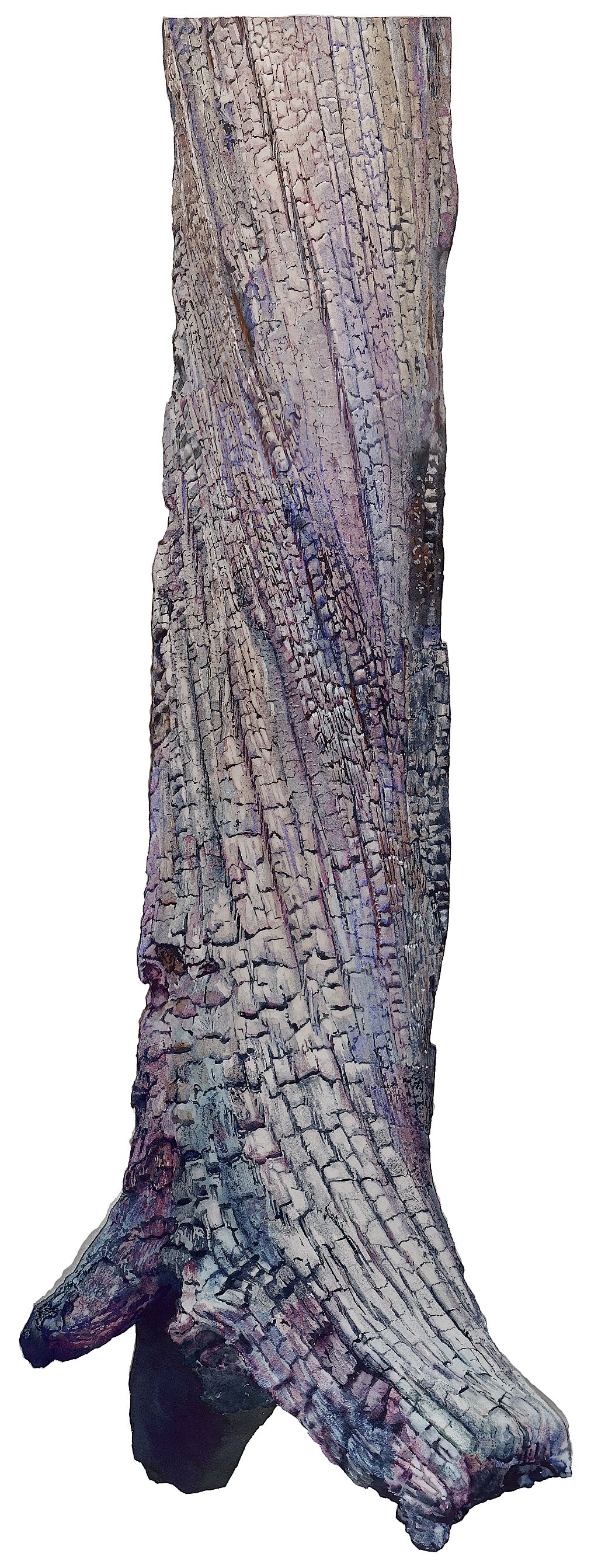 Varden Metatarsal Suze Woolf painting of burned tree