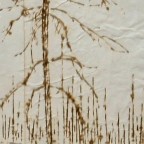 What the Fire Wrote cropped pyrographic drawing